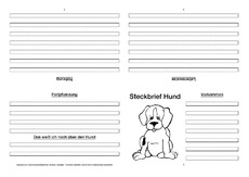 Hund 5 steckbrief klasse steckbrief_hund_5_klasse —